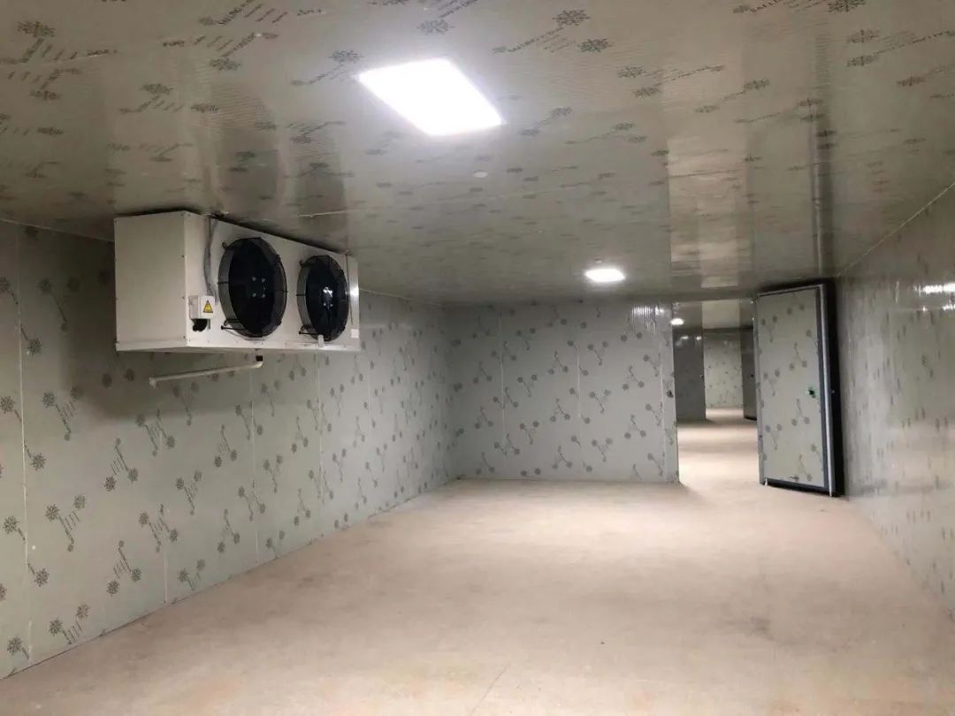 昔阳气调保鲜冷库造价